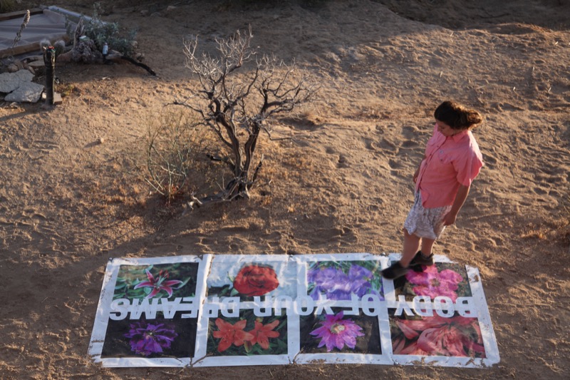 OUTSIDE MUSEUM, A Temporary Museum in the Desert, group show